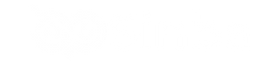 Sinba web tasarım